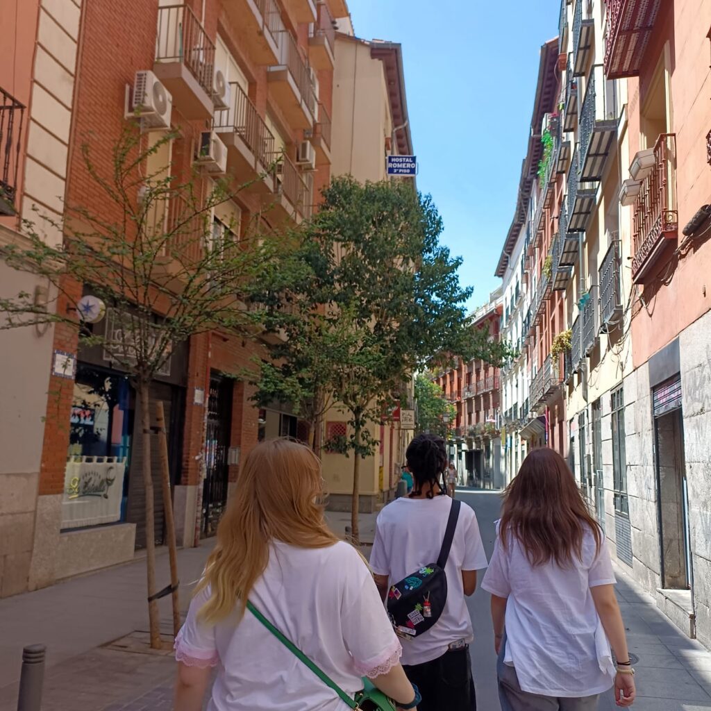 Eine schöne Gasse Madrid's!